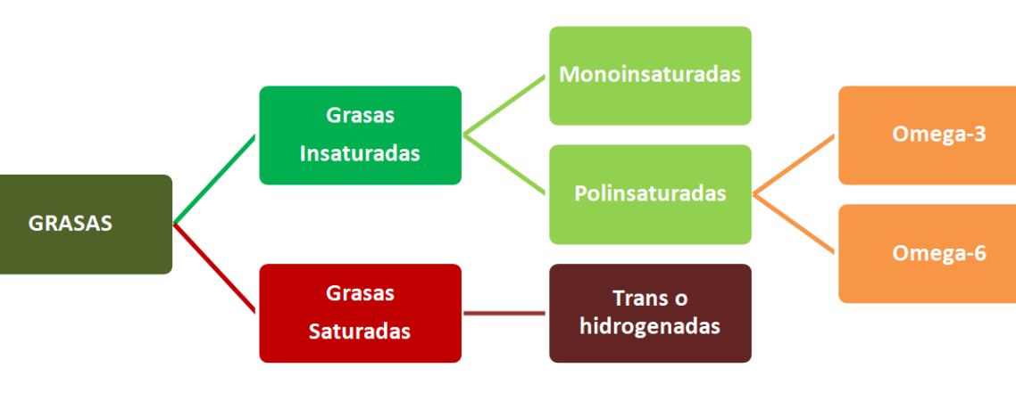 acidos-grasos