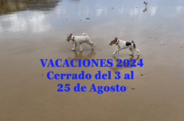 vacaciones-2024_